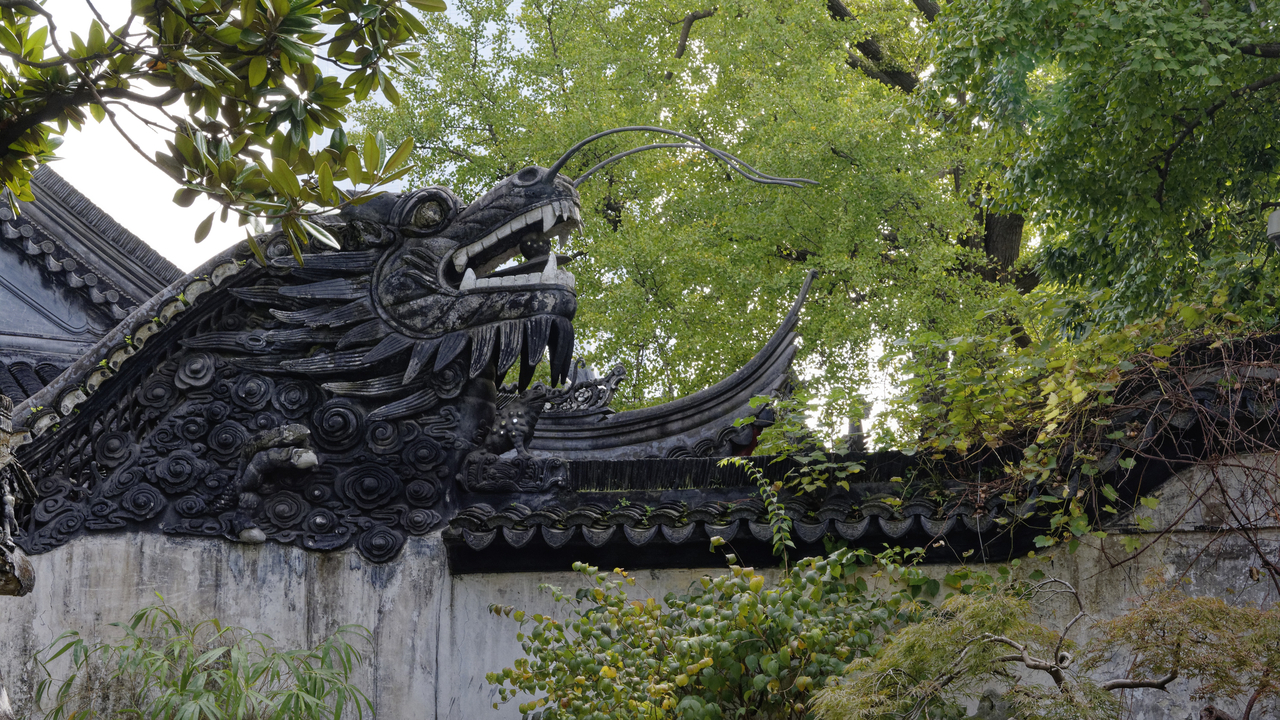 20161112 094238•Shanghai•Shanghai•China